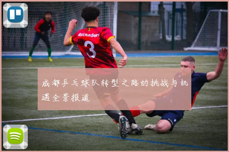 成都乒乓球队转型之路的挑战与机遇全景报道