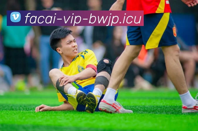 九游体育平台生态图